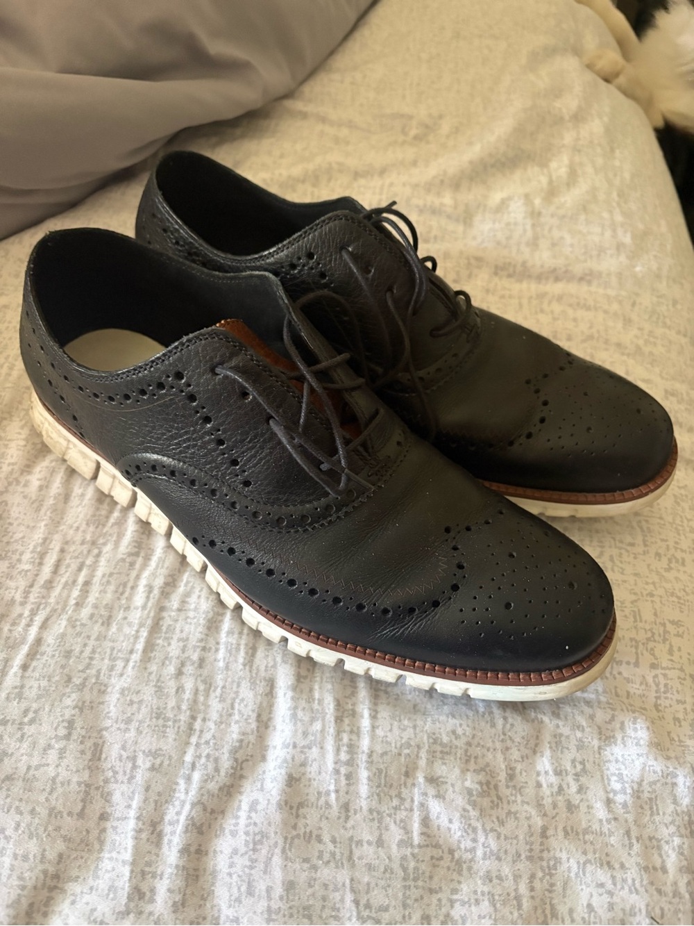 Classic Black Wingtip Oxford Shoes for Men - Cole Haan
